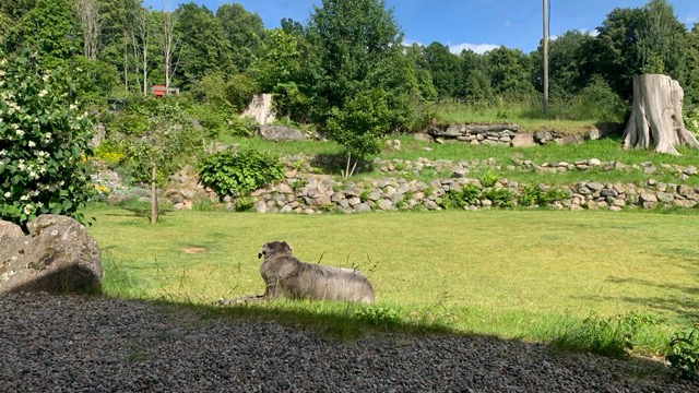 169b561c 0fd3 4102 b4f4 4d55055afa18 medium