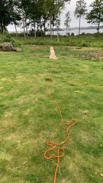 1b1e1dd3-b2f9-439b-bf75-fca2e255cbbd-medium