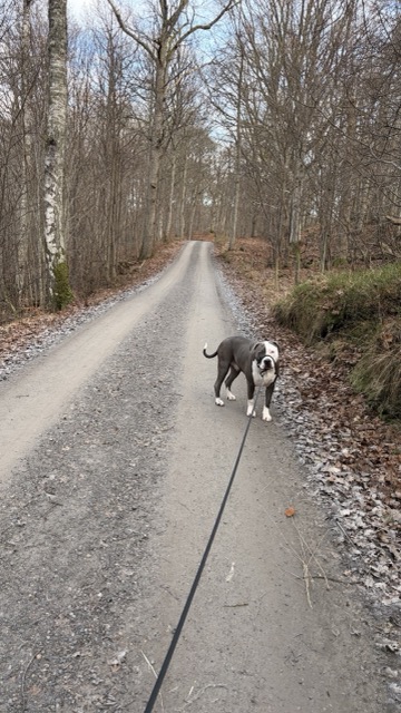 About us 35472e27-95f7-4216-be91-0c89e13e5b26-medium