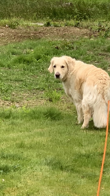 43e1fb74 176f 4e27 bf25 0dab73e4ec38 medium