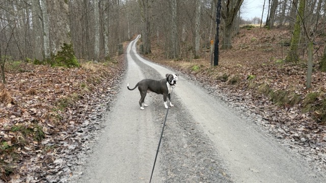 5bb625de-1710-4f9e-ae6b-da33e2c8d986-medium