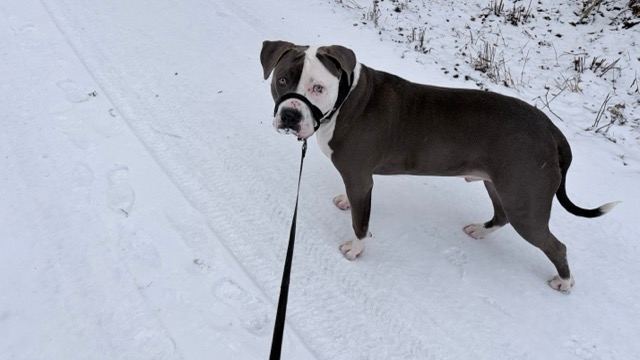 Home a2bc0801 7a85 447c 8373 60a3d7e5aeff medium.webp