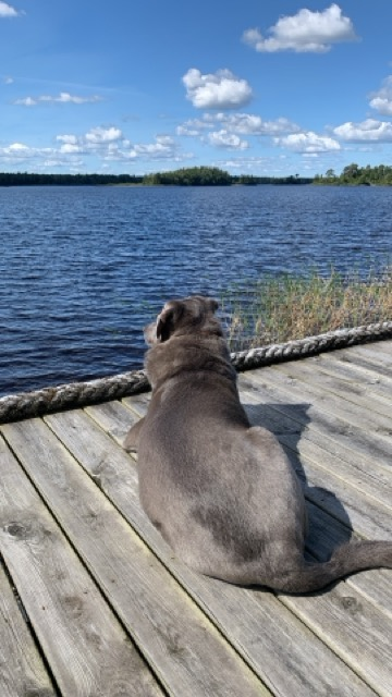 e9be9e3a 070a 45ca 9d94 c79807ea8876 medium