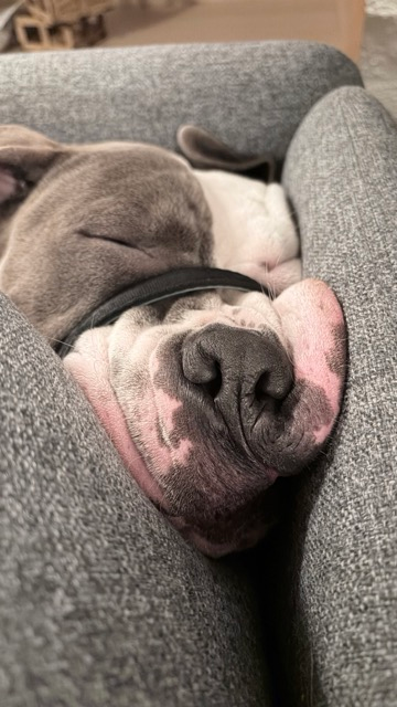 About us img 0521 medium.webp