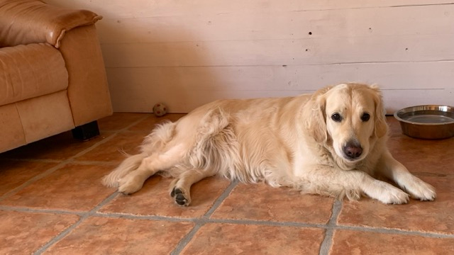 Home img 2828 medium.webp