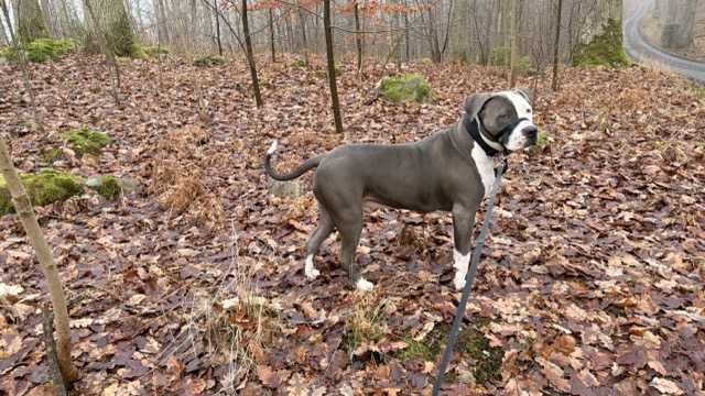 b763869d-d98e-4ef4-94ec-eaef708452d1-medium