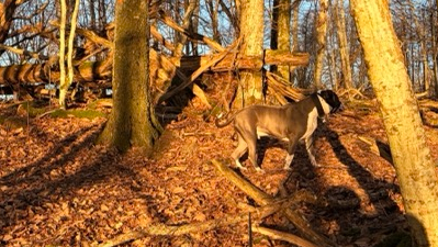 3b8eb2d8 9c42 494a 9194 1fb47d91cde2 medium.webp