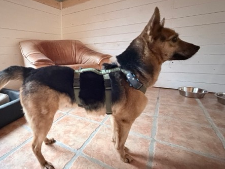 img 0975 medium.webp