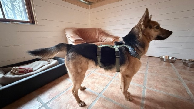 Home img 0975 medium.webp