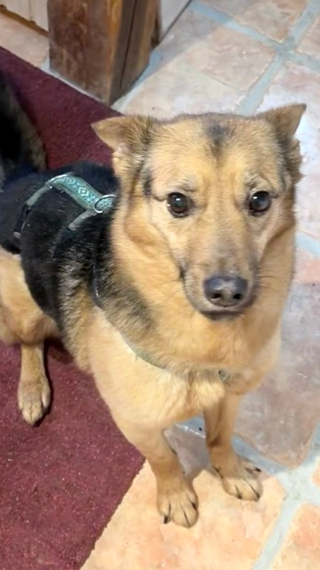 About us img 0983 medium