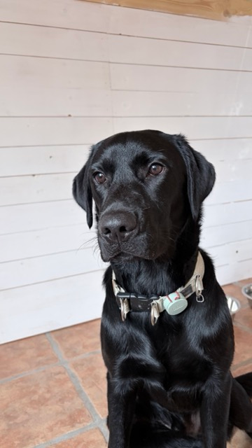 About us img 0994 medium