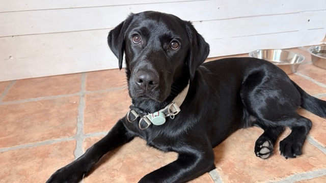 Home img 0995 medium