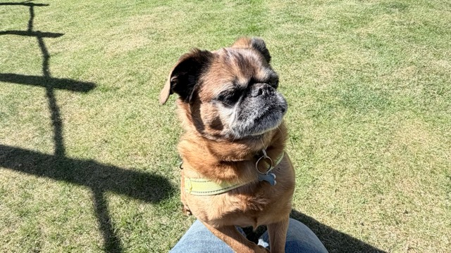 img 1443 medium
